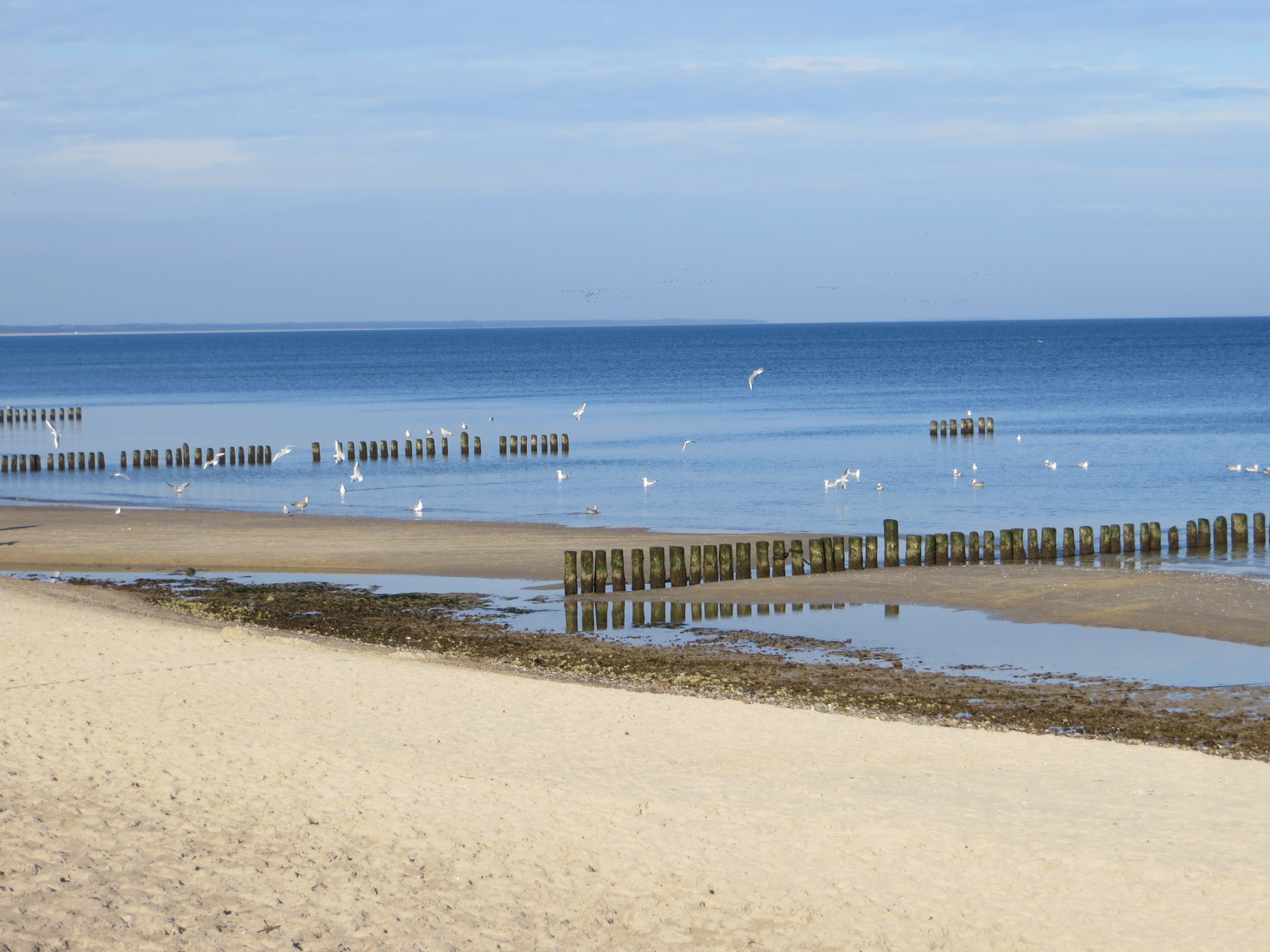 Ostsee-Impressionen